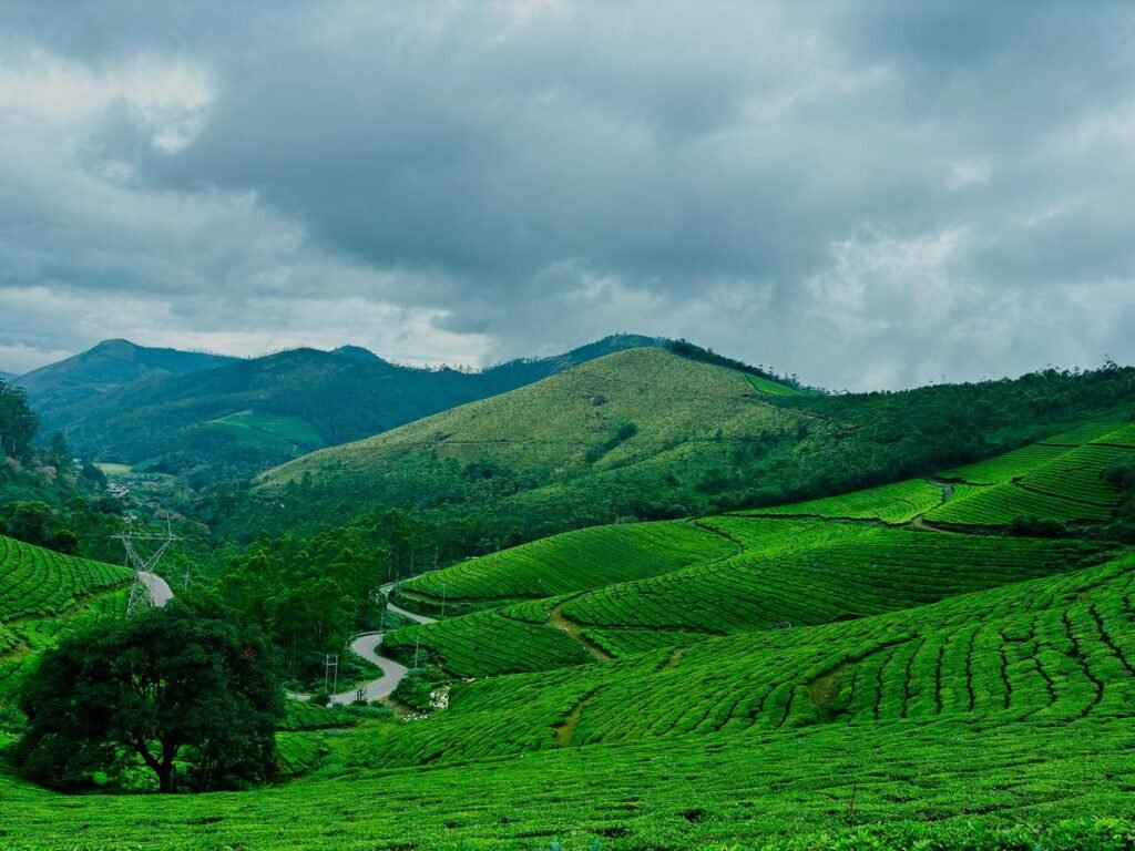 Munnar, Kerala Tourism