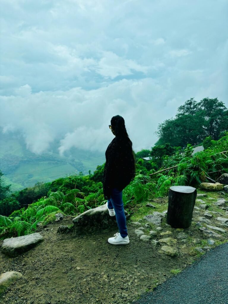 Eravikulam National Park | Misty Mountains