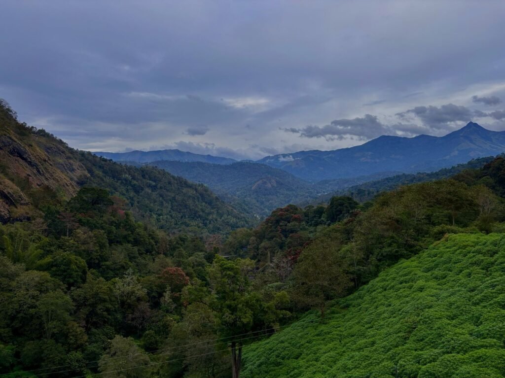 View from Hanging Bridge Ponmudi